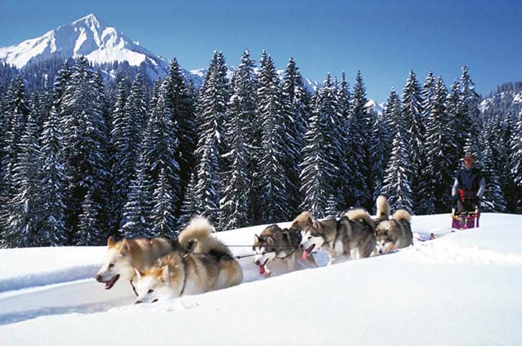 Alpen Select Lodge Kleinwalsertal Riezlern Ngoại thất bức ảnh
